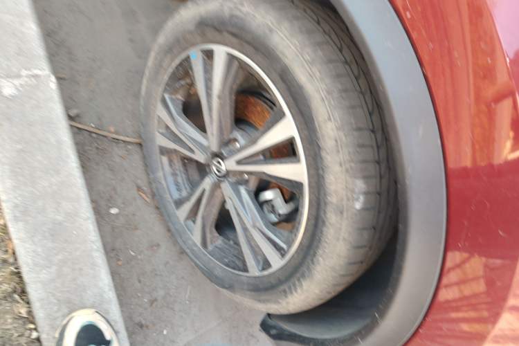 Used Nissan Qashqai 2019 2.0L CVT Luxury Edition
