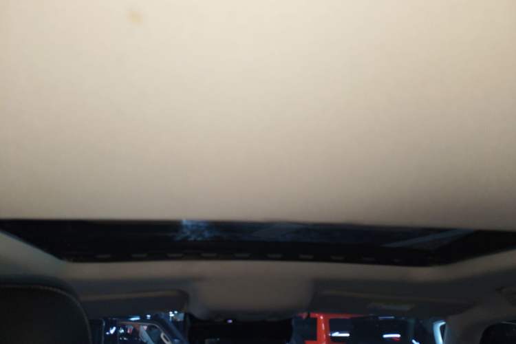 Used Tank 300 2021 Off-Road Edition 2.0T Conqueror