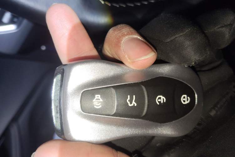 Used Geely Auto Monjaro 2019 300T YAOXINGZHE