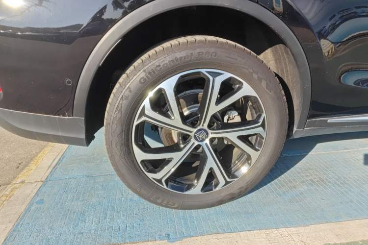 Used BYD Tang New Energy 2025 DM-i 115KM Flagship Model
