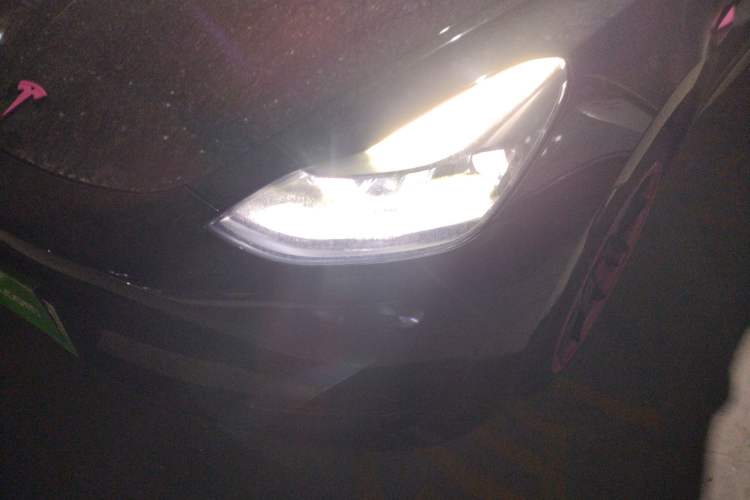 Used Tesla Model 3 2022 Rear-Wheel-Drive Version