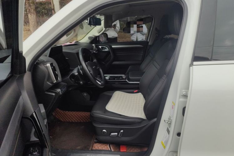 Used Haval DARGO 2021 2.0T DCT 4x4 Chinese Rural Dog Edition
