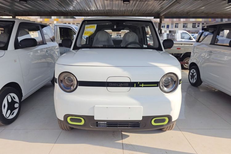 Used  Panda 2025 210 km – Yuanqi Bear