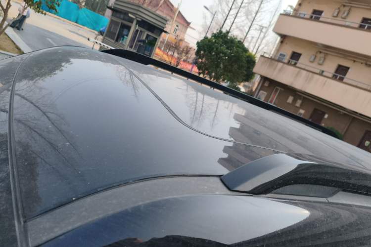 Used  Leopard 5 2023 Navigator Edition