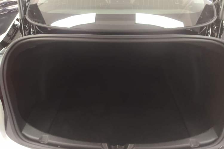 Used Tesla Model 3 2020 Revised Version Standard Range Rear-Wheel Drive – Upgraded Edition
