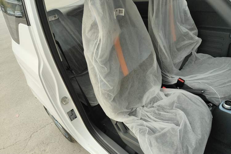 Used  Panda 2024 Panda Mini 200km Endurance Bear
