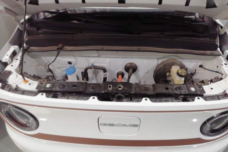 Used  Panda 2024 Panda Mini 200km Endurance Bear
