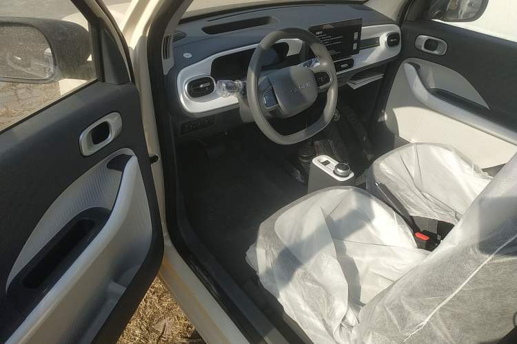 Used  Panda 2025 210 km – Yuanqi Bear
