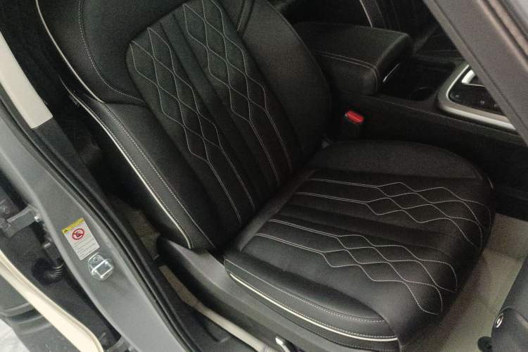 Used Tank 300 2024 2.0T Challenger