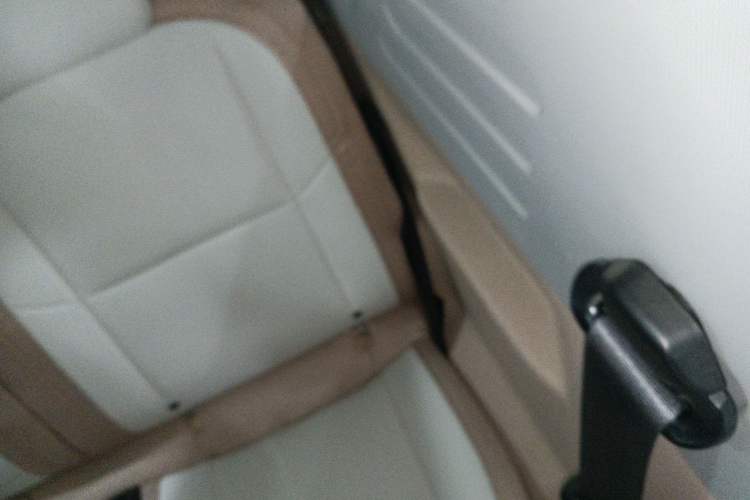 Used  Panda 2023 Panda Mini 200km Dynamic Bear
