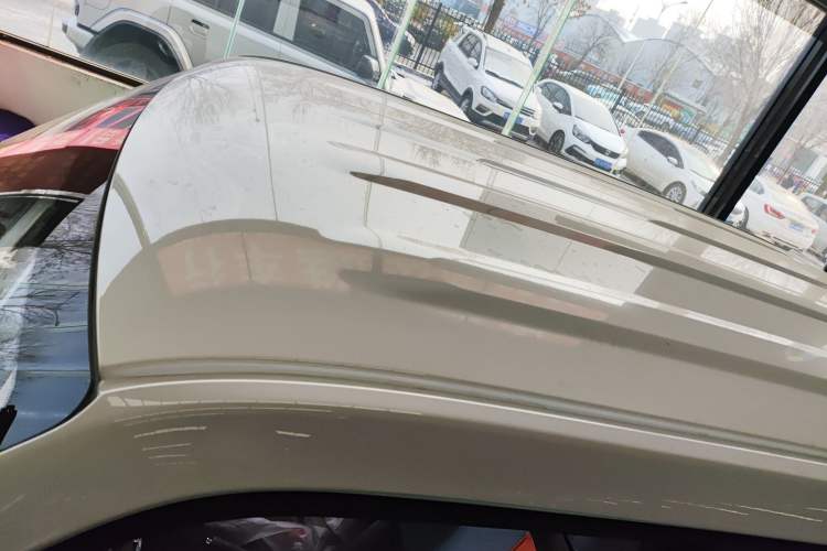 Used  Panda 2024 Panda Mini 200km Endurance Bear