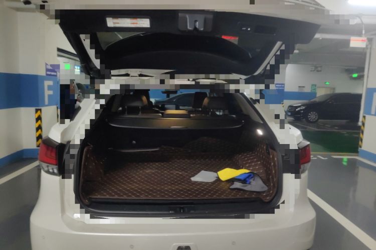 Used Lexus RX 2020 300 4x4 Elegant Edition China VI