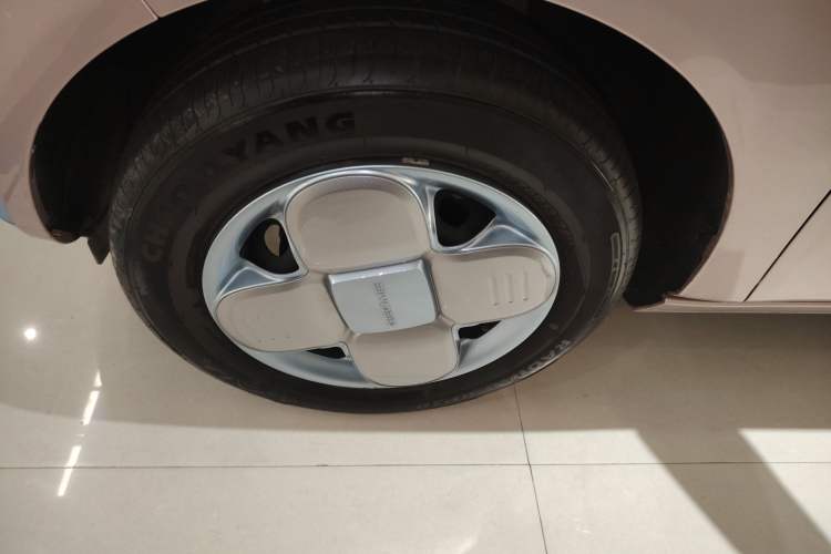 Used  Panda 2024 Panda Mini 200km Longteng PRO Edition
