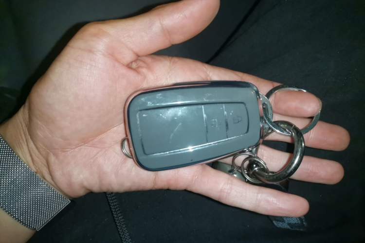 Used Toyota Wildlander 2022 2.0L CVT Two-Wheel Drive Luxury PLUS Edition
