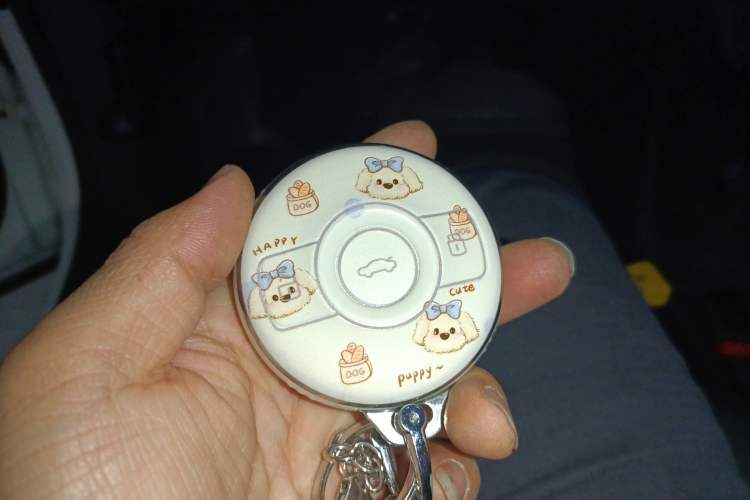 Used smart #3 2024 Dynamic Standard Edition