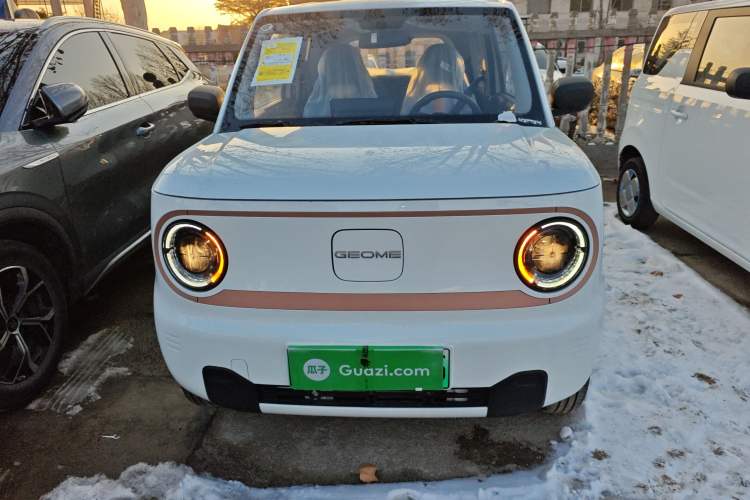 Used  Panda 2024 Panda Mini 200km Endurance Bear