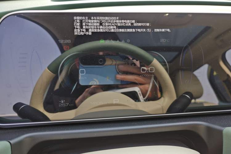 Used ORA Good Cat 2024 401 km Range Luxury Version 135 kW