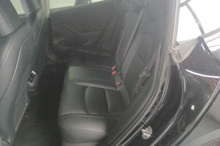 Used Tesla Model 3 2020 Revised Version Standard Range Rear-Wheel Drive – Upgraded Edition
