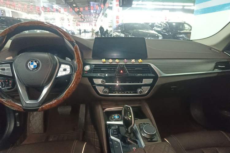 Used BMW 5 Series 2020 530Li Leading Edition Luxury Package