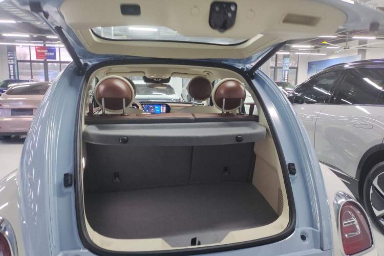 Used ORA Ballet Cat 2023 401 km Luxury Version
