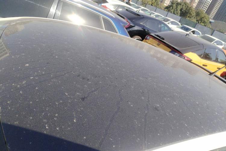 Used Volkswagen Polo 2018 1.5L Manual Drive-Comfort Model
