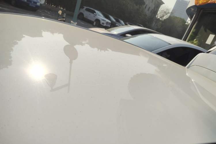 Used Geometry C 2022 400KM Blueberry Pro
