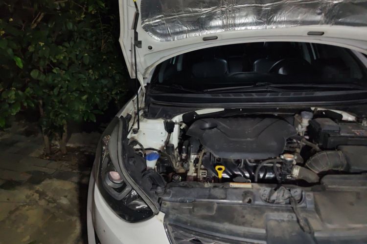 Used Hyundai Elantra 2016 1.6L Manual Prestige Edition