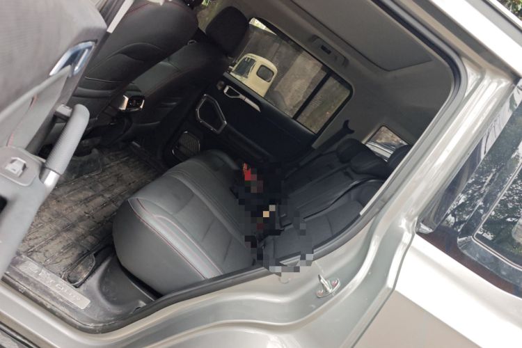 Used JETOUR Traveler 2023 2.0T Four-Wheel Drive Conqueror