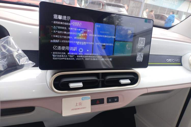 Used  Panda 2025 210 km – Yuanqi Bear
