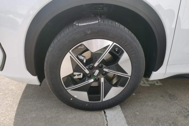 Used  E5 2026 Model 530km Launch Edition
