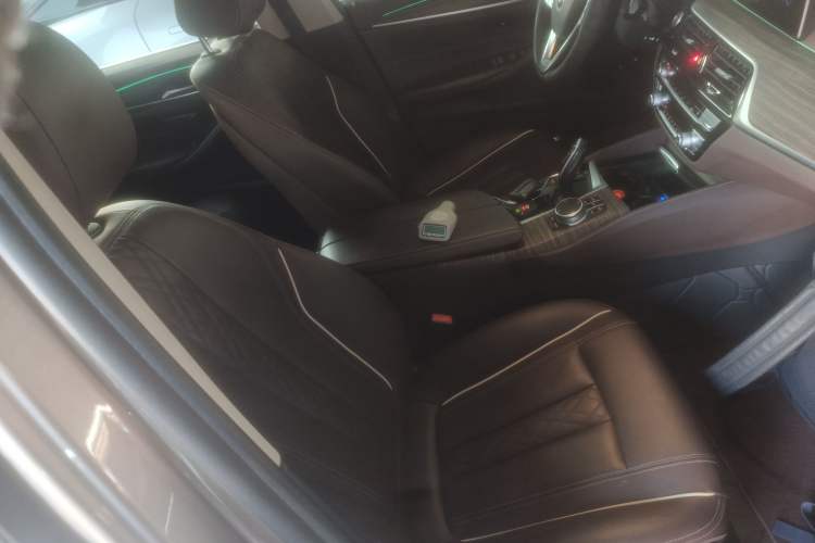 Used BMW 5 Series New Energy 2020 530Le Luxury Package
