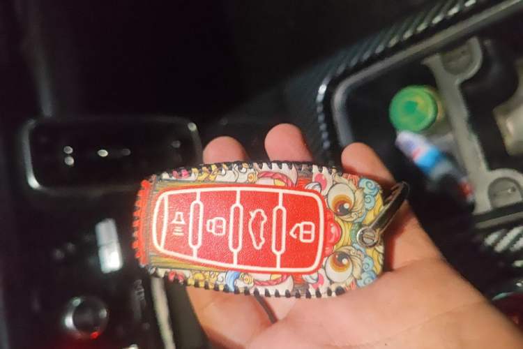 Used Haval DARGO 2021 2.0T DCT 4x4 Chinese Rural Dog Edition
