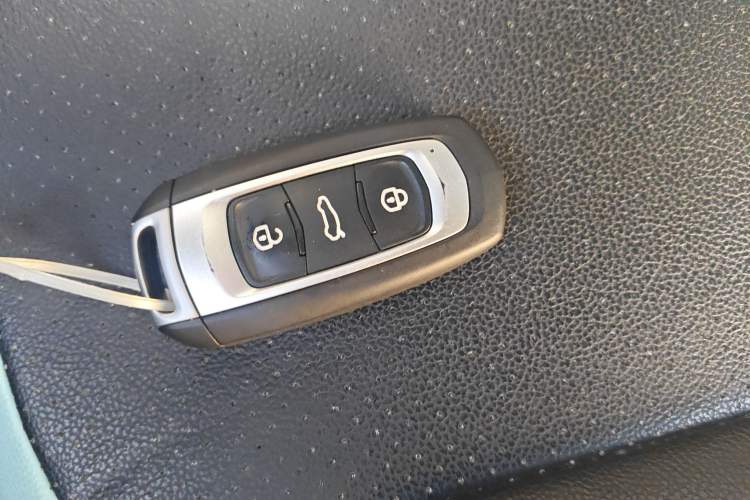 Used  Panda 2024 Panda Mini 200km Endurance Bear
