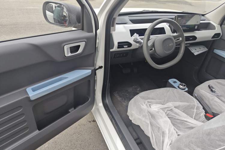 Used  Panda 2024 Panda Mini 200km Endurance Bear