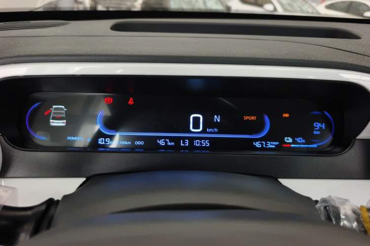 Used  Panda 2025 210 km – Yuanqi Bear
