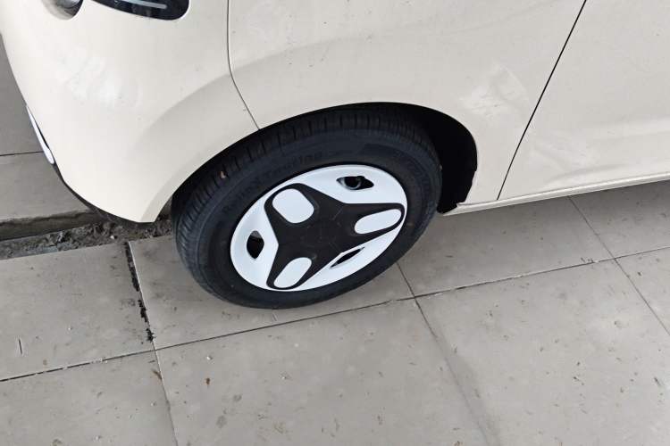 Used  Panda 2025 210 km – Yuanqi Bear
