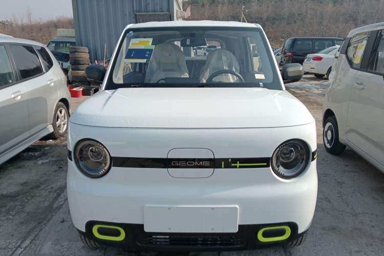 Used  Panda 2025 210 km – Yuanqi Bear
