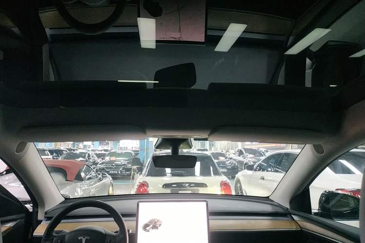 Used Tesla Model Y 2021 Long-Range All-Wheel-Drive Version
