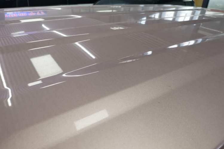 Used  Panda 2024 Panda Mini 200km Endurance Bear