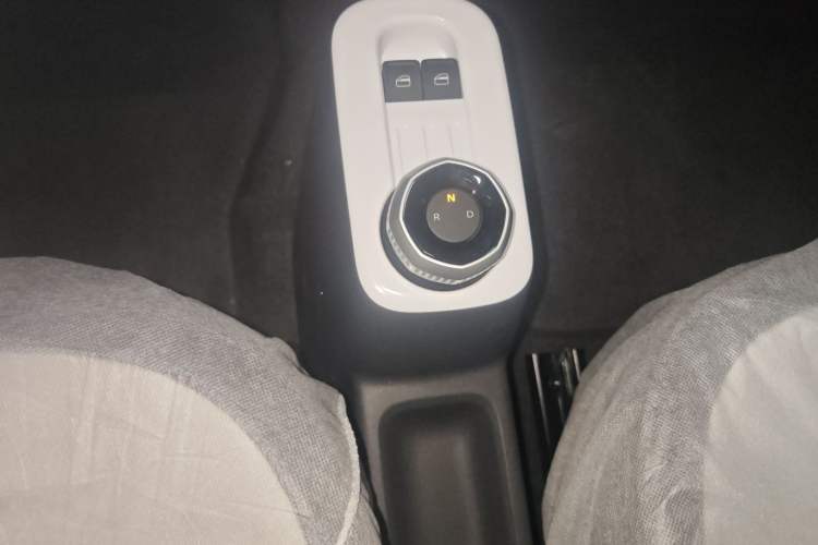 Used  Panda 2025 210 km – Yuanqi Bear
