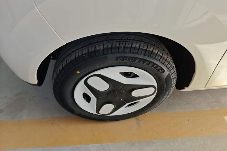 Used  Panda 2025 210 km – Yuanqi Bear
