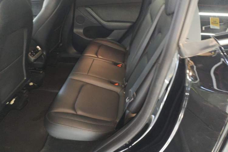 Used Tesla Model Y 2021 Standard Range Rear-Wheel Drive Version
