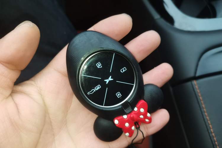 Used XPeng P7 2021 480G
