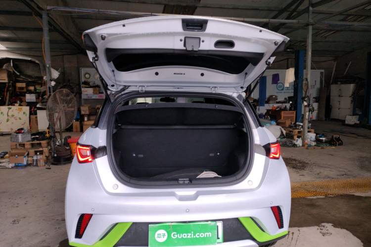 Used BYD Dolphin 2021 405 km Free Version
