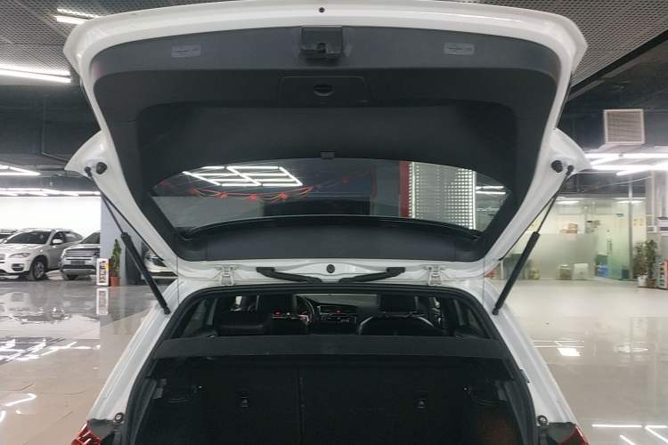 Used Volkswagen Golf GTI 2016 2.0 TSI GTI
