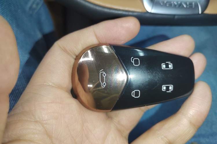 Used VOYAH Dream 2022 Low-Carbon Edition Home