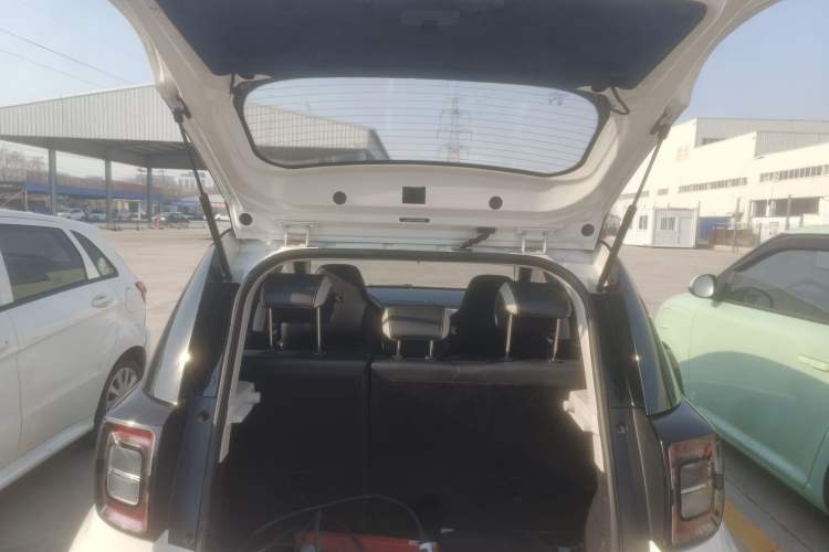 Used SOL E10X 2022 Flower Fairy Design Four-Leaf Clover