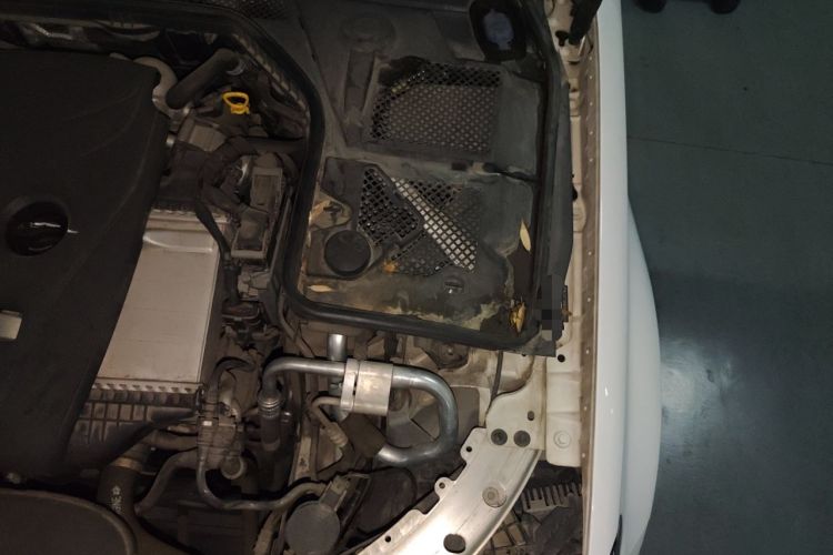 Used Mercedes-Benz C-Class 2015 C 260 L Sport Edition