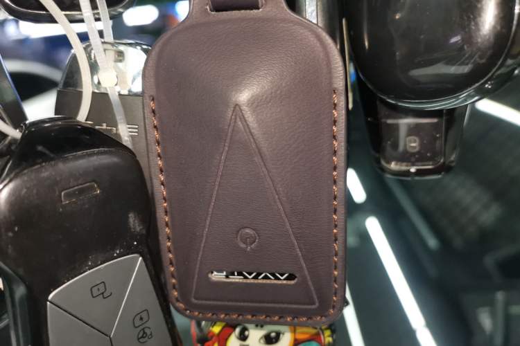 Used  07 2024 Max Extended-Range Edition
