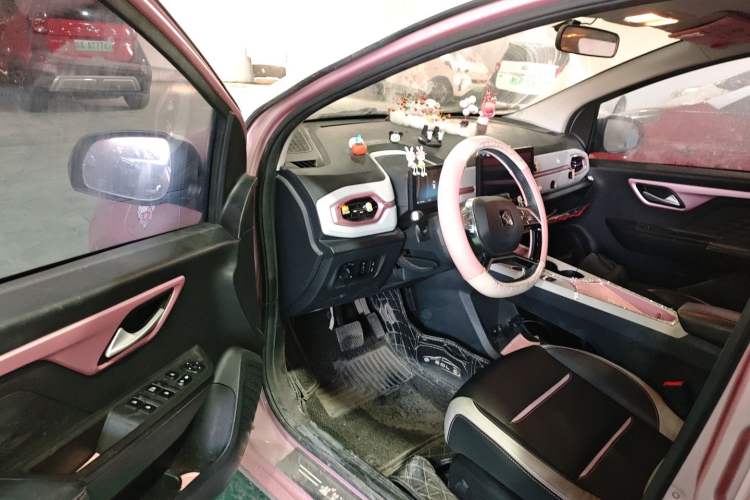 Used SOL E10X 2022 Flower Fairy Style Baby's Breath